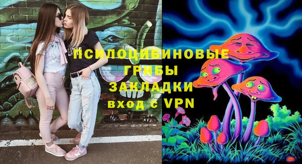 марки nbome Бородино